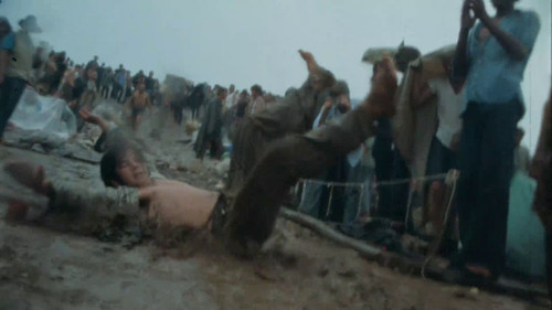 woodstock.gen.8.jpg