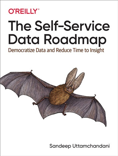 Self-Service Data Roadmap, The: Democratize Data and Reduce Time to Insight