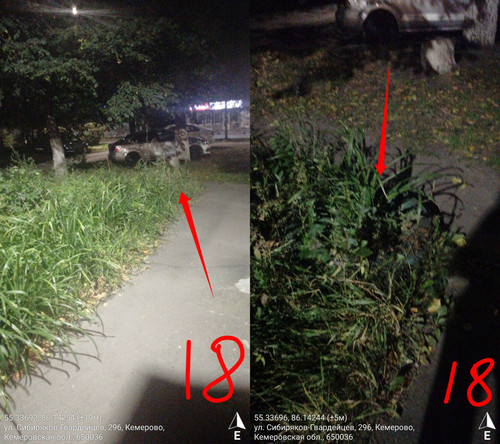 Screenshot 20220905 061453.jpg