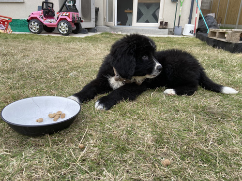 4530DA3E 83A1 4213 BD62 69A5AA82049A.jpg