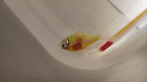 IMG 20220905 025921.jpg