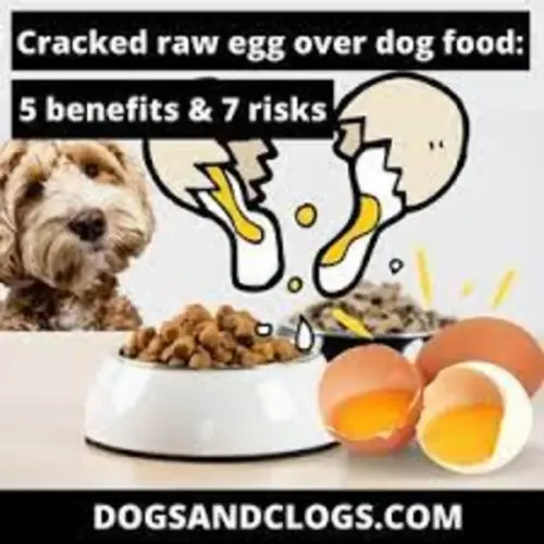 download (32) (1).webp