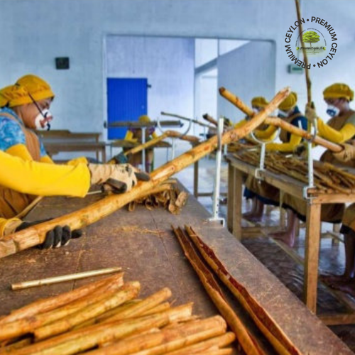 Green and Gold Minimalist Vegan Food Instagram Post (5).png