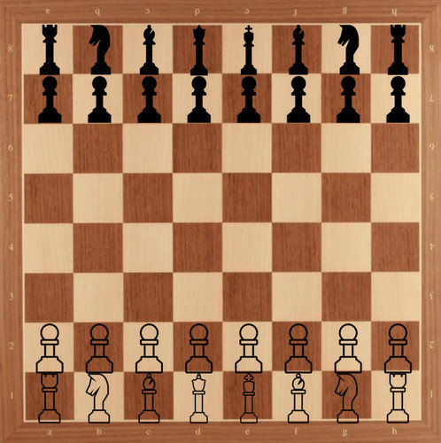 state 1017156704858812517 round=0.jpg