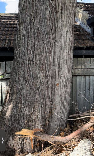 915B61EC A0D8 4260 B9EF 6E4F829935AA.jpg