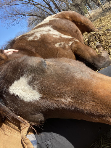 609319A2 5687 4756 B5C7 31D127F4D108.jpg