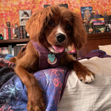 79A75E5A 8B09 4E22 850D E6EFB06CF71C