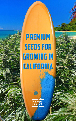 California Seed Bank.jpg