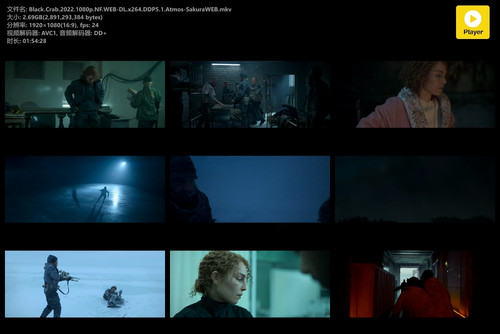 Black.Crab.2022.1080p.NF.WEB DL.x264.DDP5.1.Atmos SakuraWEB.mkv.jpg