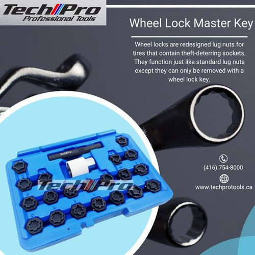 299971510 554999746418692 7303076230713423835 n.jpg