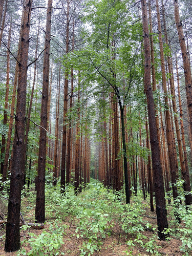 7599FA06 1C36 4438 A411 A7576CDC5A81.jpg