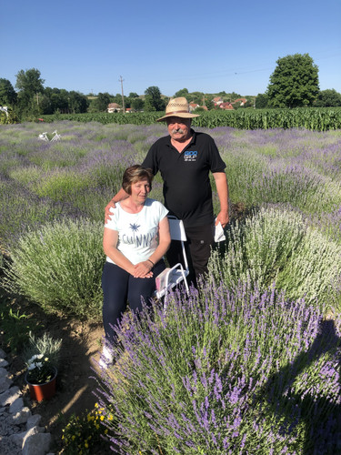 EE542539 B771 4649 A77F C5BC0170527E.jpg