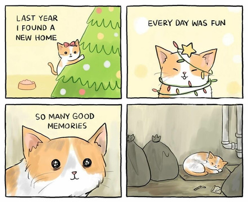 IMG 20220901 WA0034.jpg