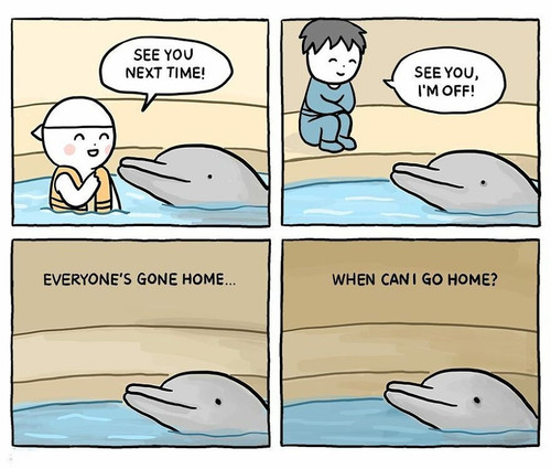 IMG 20220901 WA0030.jpg