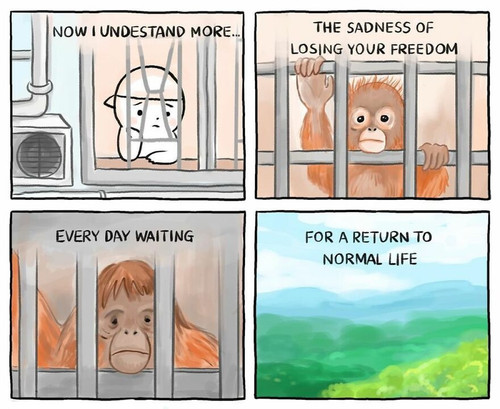 IMG 20220901 WA0018.jpg