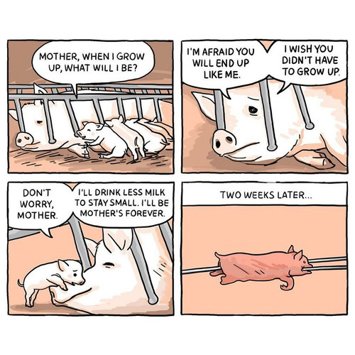 IMG 20220901 WA0027.jpg