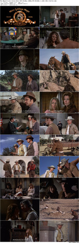 The.Magnificent.Seven.4.jpg