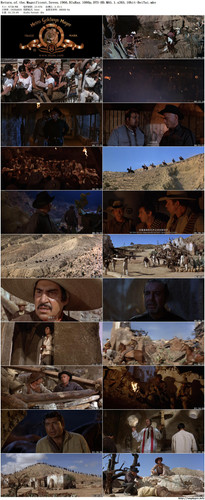 The.Magnificent.Seven.2.jpg