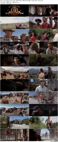 The.Magnificent.Seven.3.jpg