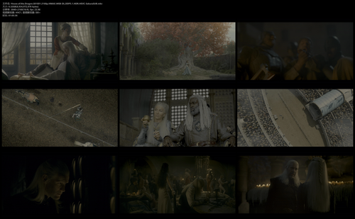 House.of.the.Dragon.S01E01.2160p.HMAX.WEB DL.DDP5.1.HDR.HEVC SakuraSUB.mkv.png