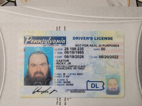 297529391 907571936866408 3553653248452117920 n.jpg