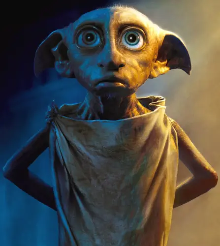 DOBBY2.webp
