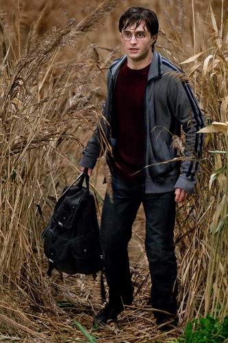 Harry and HAgrid crash at the Burrows. Mrs.Weasley and Ginny greet them. (SC28).jpg