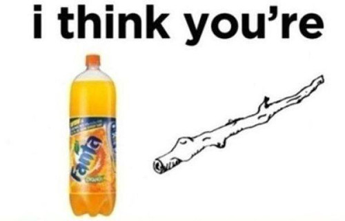 1379839 10151627307856765 1337083540 n.jpg