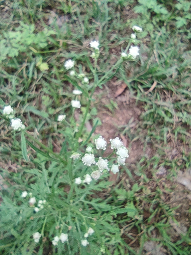 IMG 20220904 134218.jpg