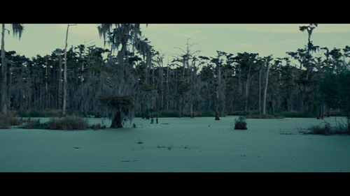 On.the.Road.2012.BluRay.REMUX.1080p.AVC.DTS HD.MA5.1 HDS.mkv 20220908 134503.285.png