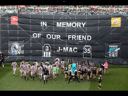 428A9F3C A775 4DE5 B5C6 EA8947ACB777.png