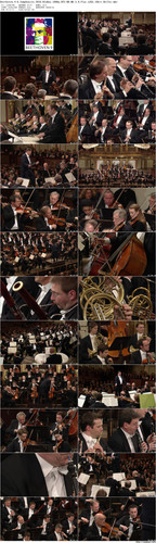 Beethoven.4 6.Symphonies.2010.BluRay.1080p.DTS HD.MA.5.0.Flac.x265.10bit BeiTai preview.jpg