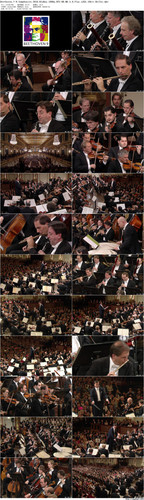 Beethoven.7 9.Symphonies.2010.BluRay.1080p.DTS HD.MA.5.0.Flac.x265.10bit BeiTai preview.jpg