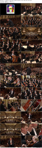 Beethoven.1 3.Symphonies.2010.BluRay.1080p.DTS HD.MA.5.0.Flac.x265.10bit BeiTai preview.jpg