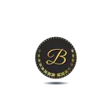 BH GROUP LOGO webp