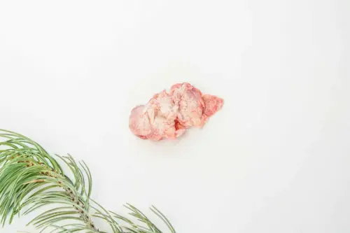 BISON THYMUS.webp