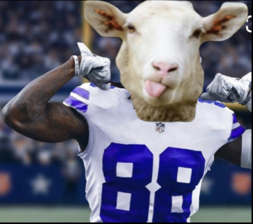 DD88C52D C063 462E BF8C 7DD234EA758A.jpg