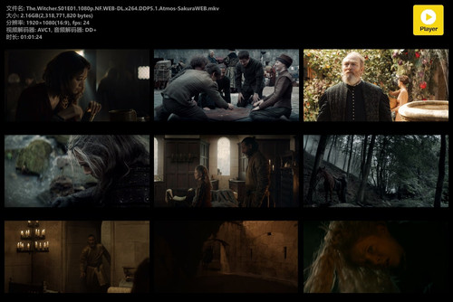 The.Witcher.S01E01.1080p.NF.WEB DL.x264.DDP5.1.Atmos SakuraWEB.mkv.jpg