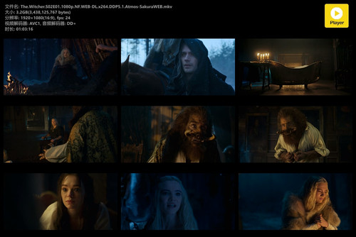 The.Witcher.S02E01.1080p.NF.WEB DL.x264.DDP5.1.Atmos SakuraWEB.mkv.jpg