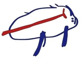 il 340x270.3303388185 ke5w.webp