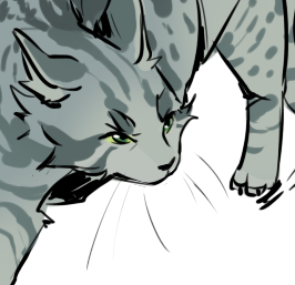 av 6802 (1).png