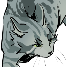 av 6802 (2).png