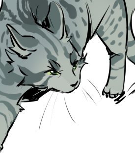 av 6802 (3).png