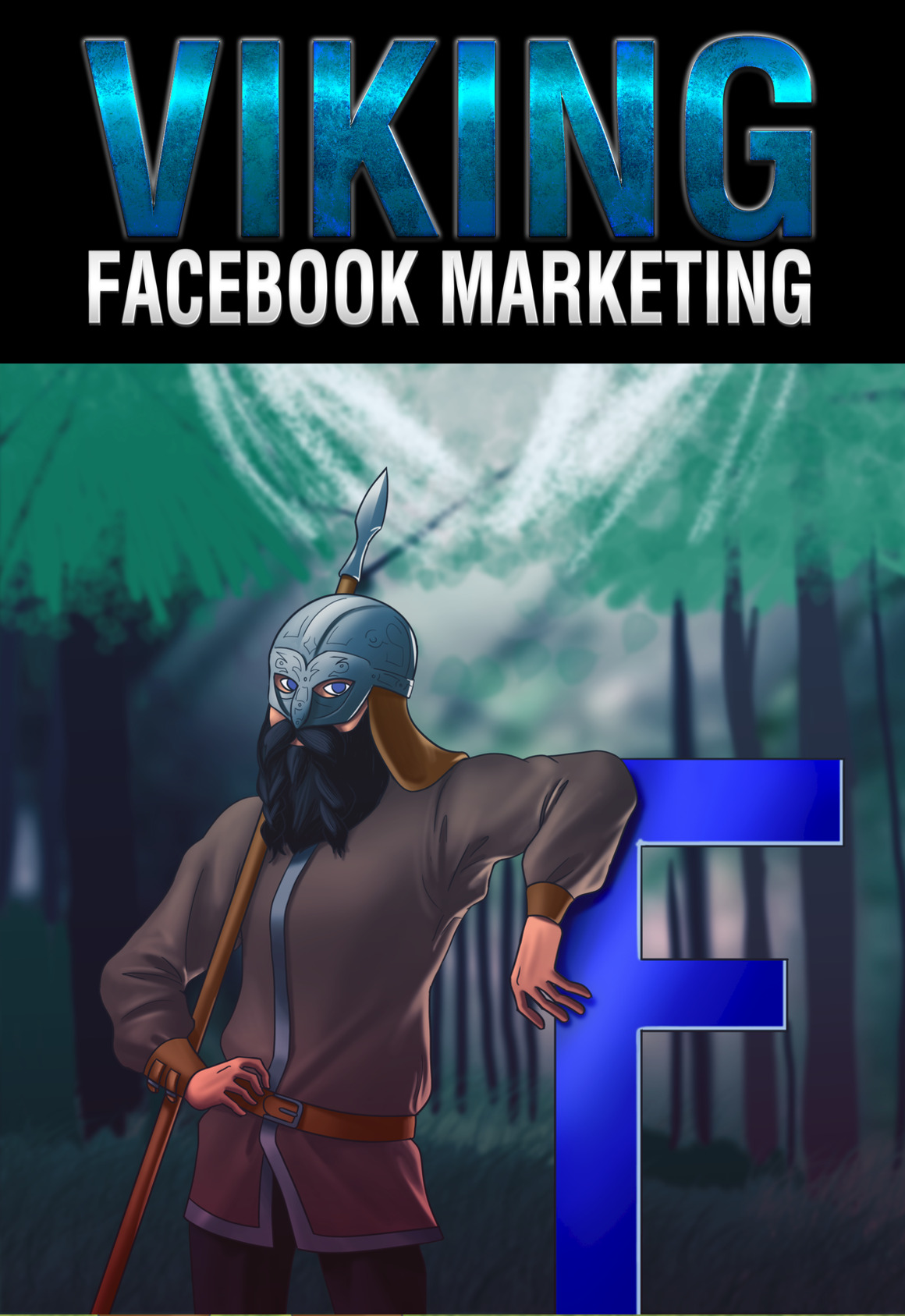 Viking Facebook Marketing -2decover