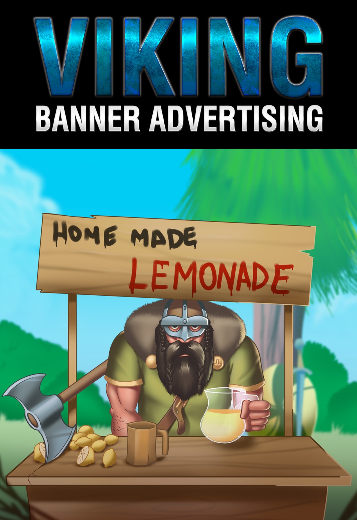 Viking Banner Ads -2decover
