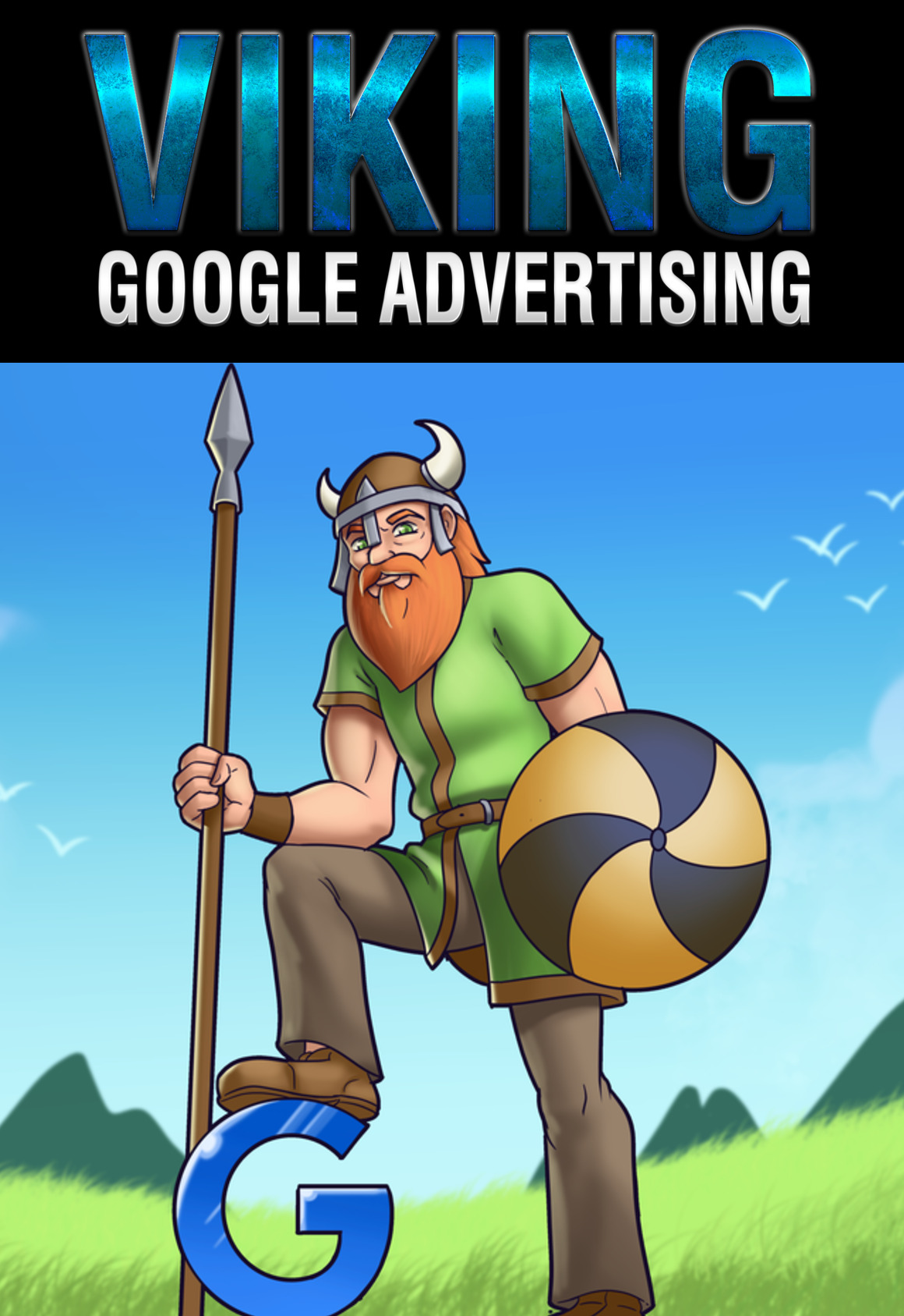 Viking Google Ads -2decover