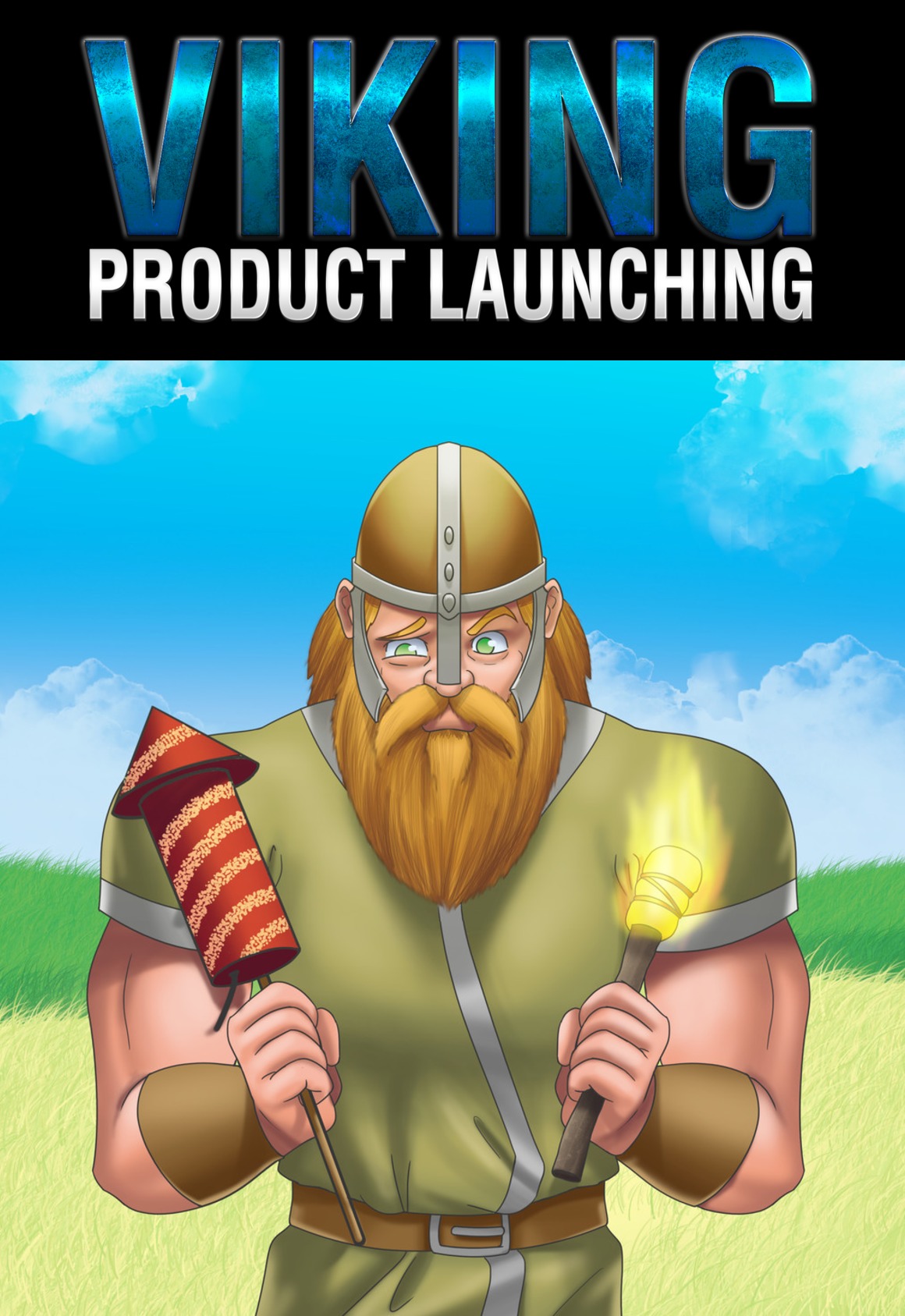 Viking Product Launching -2decover