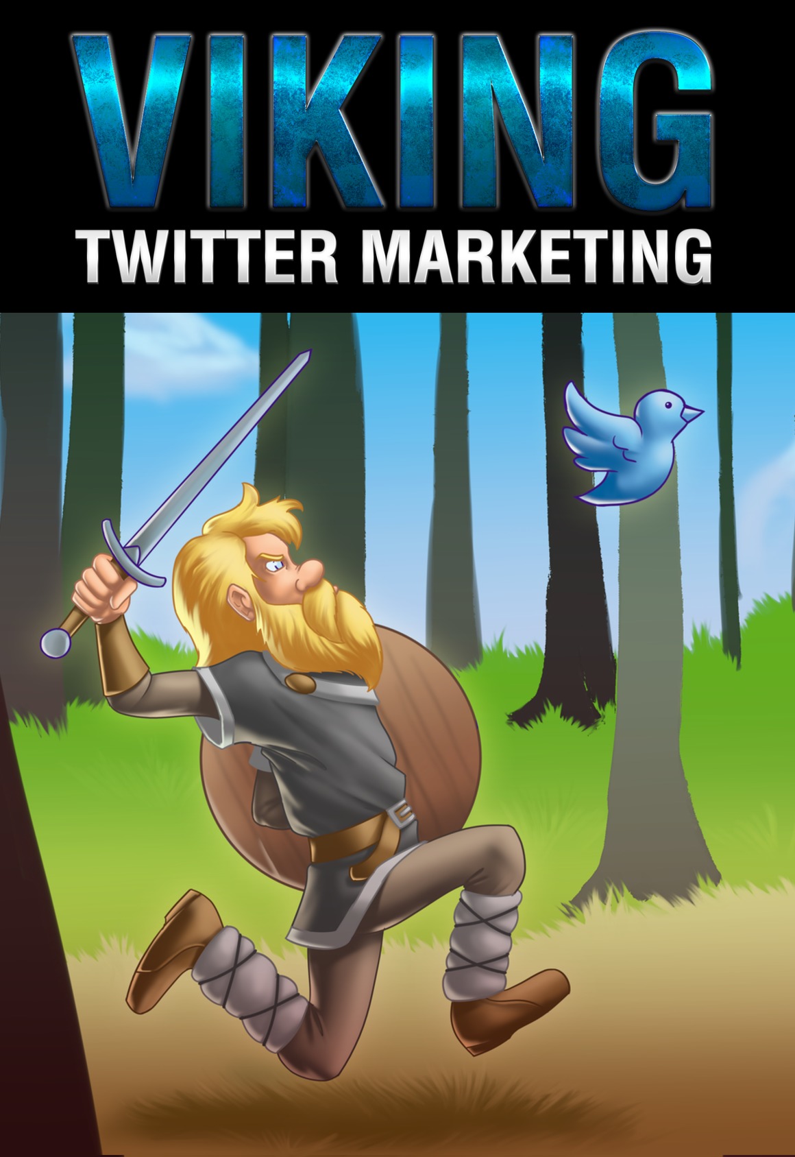 Viking Twitter Marketing -2decover