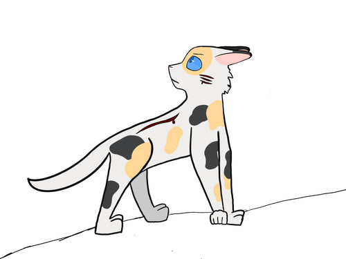 109AF855 CDE9 4E09 A17B AED440842600