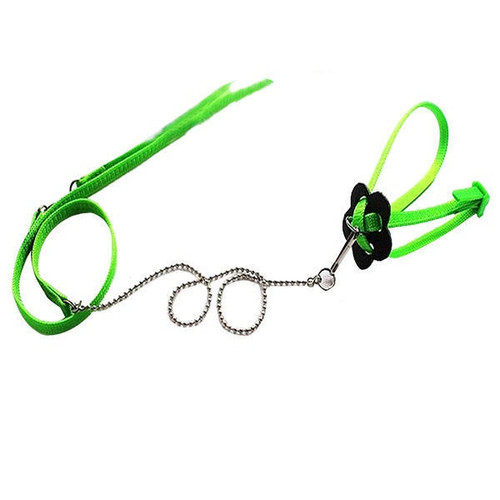 61e632d42817b71895788c67e67479545f3a3e10 original.jpg